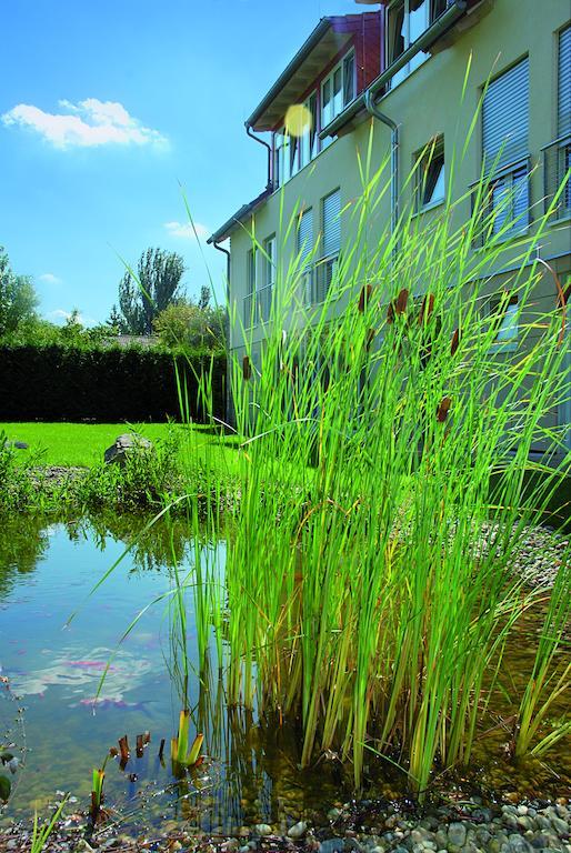Landhotel Altes Wasserwerk Gbr Freinsheim Εξωτερικό φωτογραφία